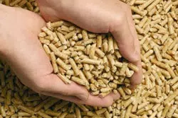 Tuyaux alimentaire