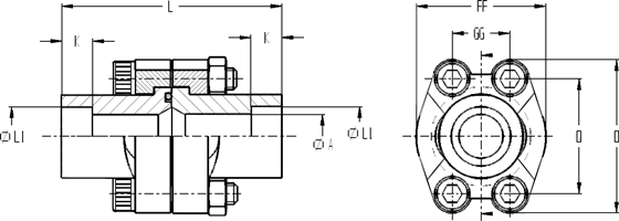 ANSCHLUSSFLANSCHE „ SOCKET“ WELDING MIT TEILDURCHGANG