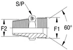 Hydraulischer BSP-Adapter