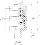 5007-1-raccord-hydraulique-clapet-anti-retour