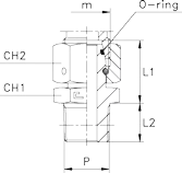 6010-raccord-hydraulique-union-simple-femelle